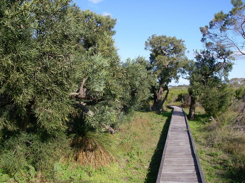 Kepwari Trails Wetland Wonderland - Restaurant Gold Coast 0