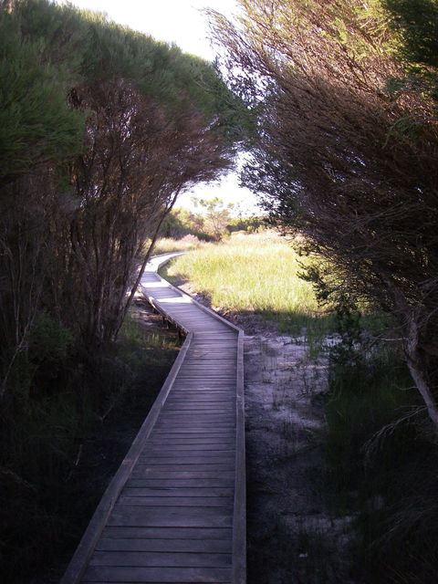 Kepwari Trails Wetland Wonderland - Restaurant Gold Coast 1