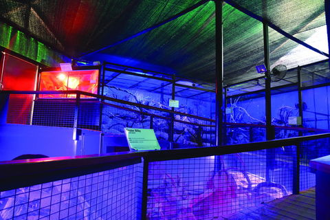 Kuranda Koala Gardens - Restaurant Gold Coast 2