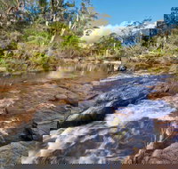 Little Dandahra Creek Walking Track - Restaurant Gold Coast