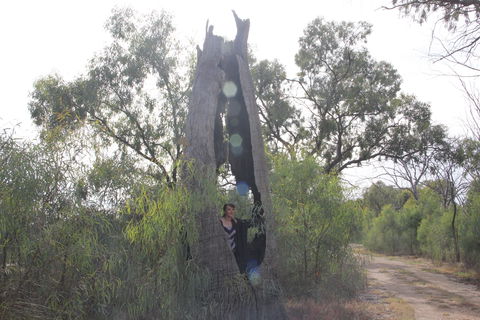 Martin Bend Wetland And Walking Trail - Restaurant Gold Coast 1