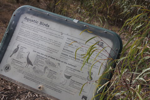 Martin Bend Wetland And Walking Trail - Restaurant Gold Coast 2
