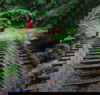 Montezuma Falls - Restaurant Gold Coast