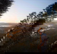 Mount Arthur Reserve - Restaurant Gold Coast