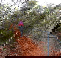 Mount Matilda Walk Trail Wongan Hills - Restaurant Gold Coast