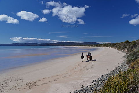 North West - Restaurant Gold Coast 0