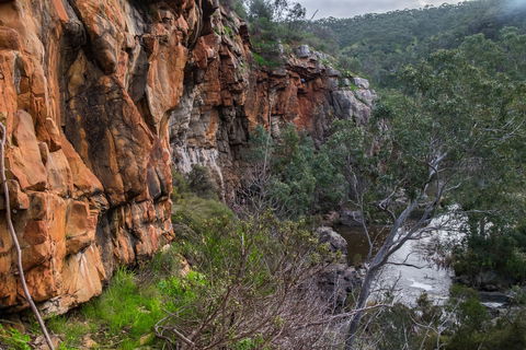 Onkaparinga River National Park - Restaurant Gold Coast 1