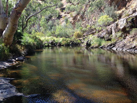 Onkaparinga River National Park - Restaurant Gold Coast 2