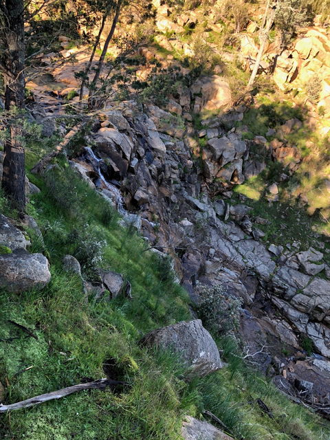 Pine Gully Nature Trail - Restaurant Gold Coast 0