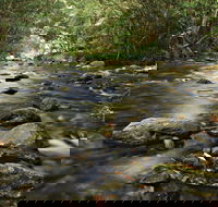 Plateau Circuit Loop Trail - Restaurant Gold Coast
