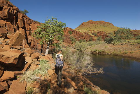 Rail Access Roads - Pilbara - Restaurant Gold Coast 1