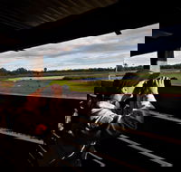 Reed Beds Bird Hide Boardwalk - Restaurant Gold Coast
