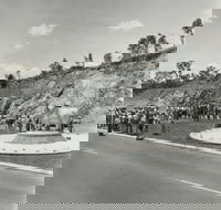 Rockhampton Bull Statues - Restaurant Gold Coast