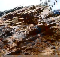 Rock Climbing in Morialta - Restaurant Gold Coast