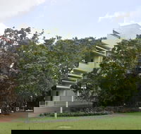 State Square Banyan Tree - Restaurant Gold Coast