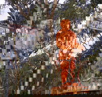 Sykes Sanctuary - Restaurant Gold Coast