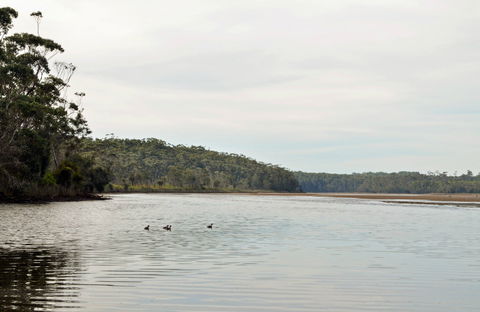 Tabourie Lake - Restaurant Gold Coast 0