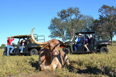 Texas Longhorn Tours - Restaurant Gold Coast 1