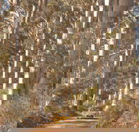 The Great Forest Trees Drive - Restaurant Gold Coast