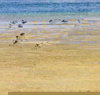 Towra Beach - Restaurant Gold Coast