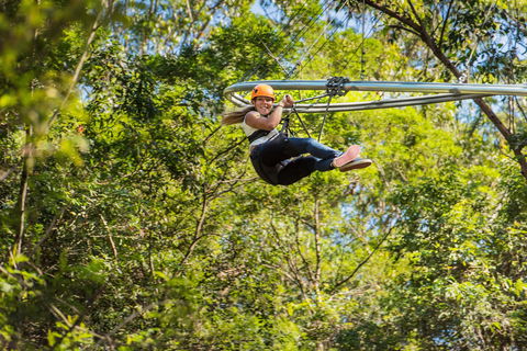TreeTop Crazy Rider - Restaurant Gold Coast 0