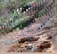 Turner Hill Mountain Bike Trail Murray - Restaurant Gold Coast