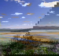 Wallagoot Lake Picnic Area and Boat Ramp - Restaurant Gold Coast