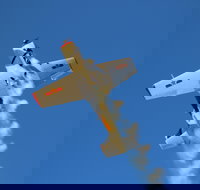 Warbird Aerial Adventures - Restaurant Gold Coast