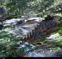 Washpools waterhole - Restaurant Gold Coast