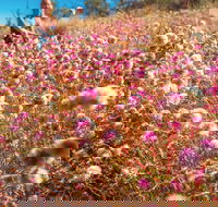 Wineries and Wildflowers - Restaurant Gold Coast