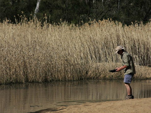 Wooldridge Recreation And Fossicking Reserve - Restaurant Gold Coast 2