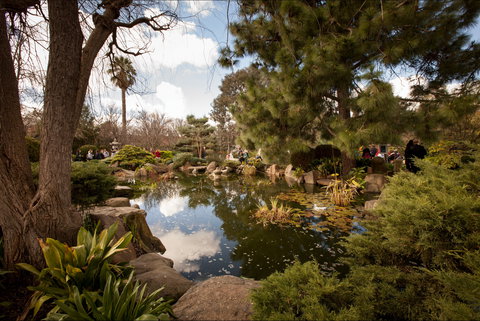 Adelaide Himeji Garden - Restaurant Gold Coast 1