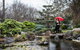 Adelaide Himeji Garden - thumb 2