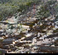 Adelong Falls Gold Mill Ruins - Restaurant Gold Coast