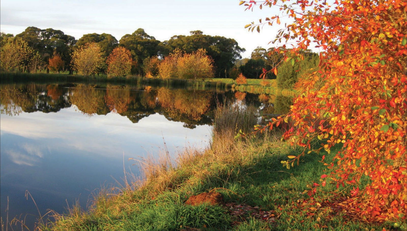 Alpine NSW Restaurant Gold Coast