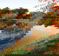 Alpine - Restaurant Gold Coast