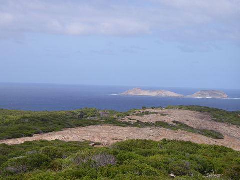 Archipelago Of The Recherche - Restaurant Gold Coast 0
