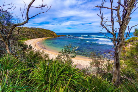 Bendalong (Inyadda) Beach - Restaurant Gold Coast 0