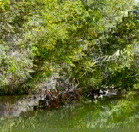 Berry Springs Nature Park - Restaurant Gold Coast