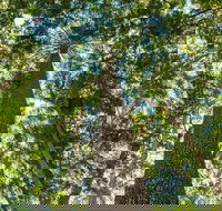 Big Sky National Parks - Restaurant Gold Coast