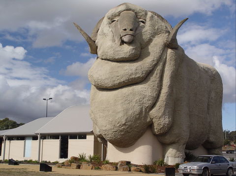 Big Merino - Restaurant Gold Coast 0