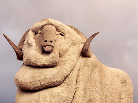 Big Merino - Restaurant Gold Coast 1