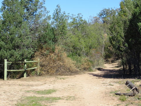 Bindea Walking Track - Restaurant Gold Coast 1