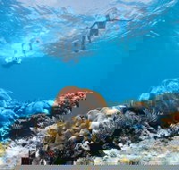 Capricorn Coast and Great Keppel Island Drive Itinerary - Restaurant Gold Coast