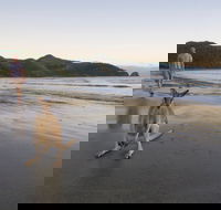Cape Hillsborough National Park - Restaurant Gold Coast