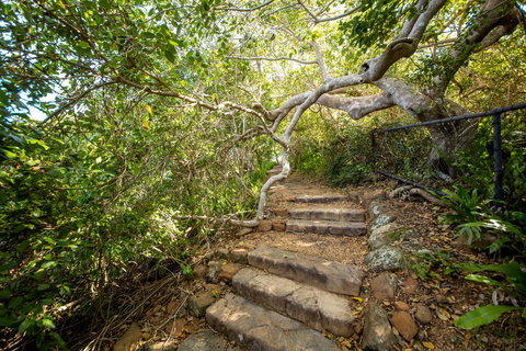 Capricorn Coast National Park - Restaurant Gold Coast 2