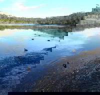 Conjola National Park - Restaurant Gold Coast