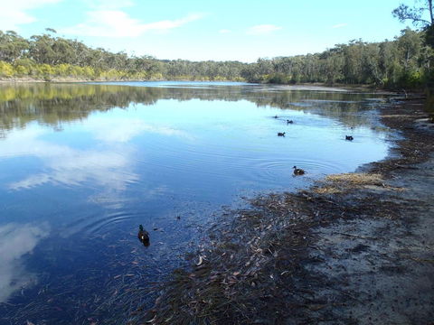 Conjola National Park - Restaurant Gold Coast 0