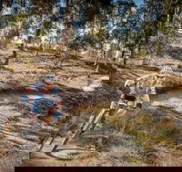 Cycle Mogo State Forest - Restaurant Gold Coast