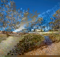 Freshwater Creek Track Byfield National Park - Restaurant Gold Coast
